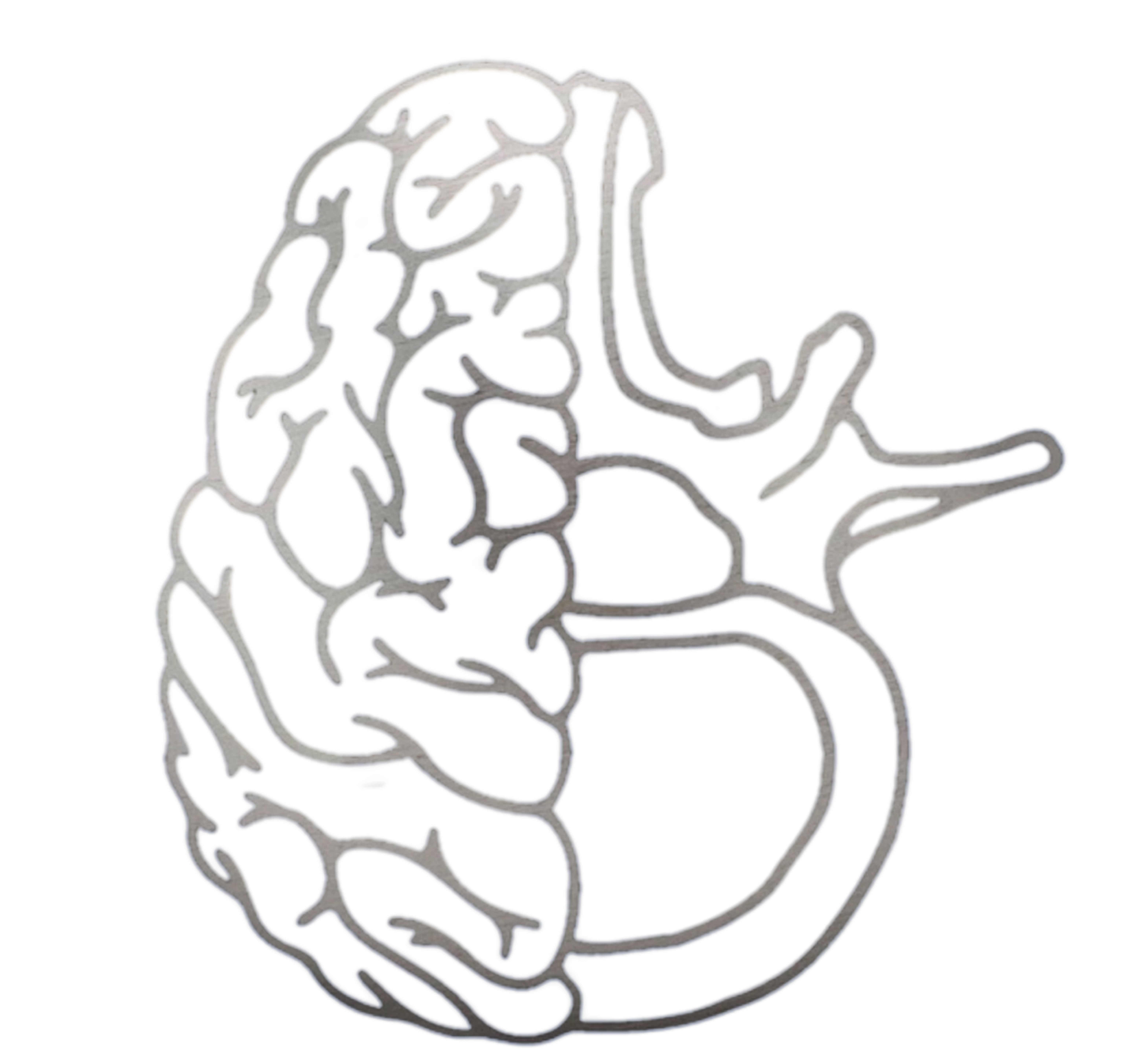 Logo Dr. Abrahan Tafur Neurocirujano Monterrey