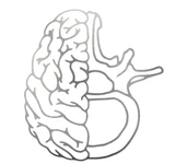 Logo Dr. Abrahan Tafur Neurocirujano Monterrey
